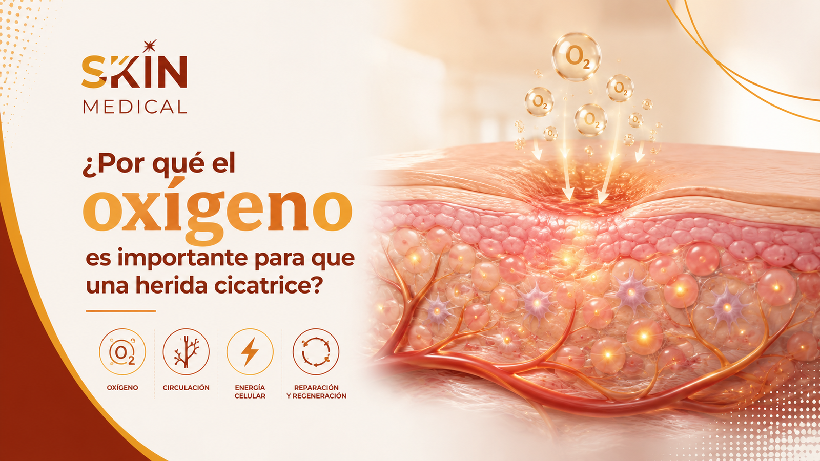 ¿Por qué el oxígeno es importante para que una herida cicatrice?