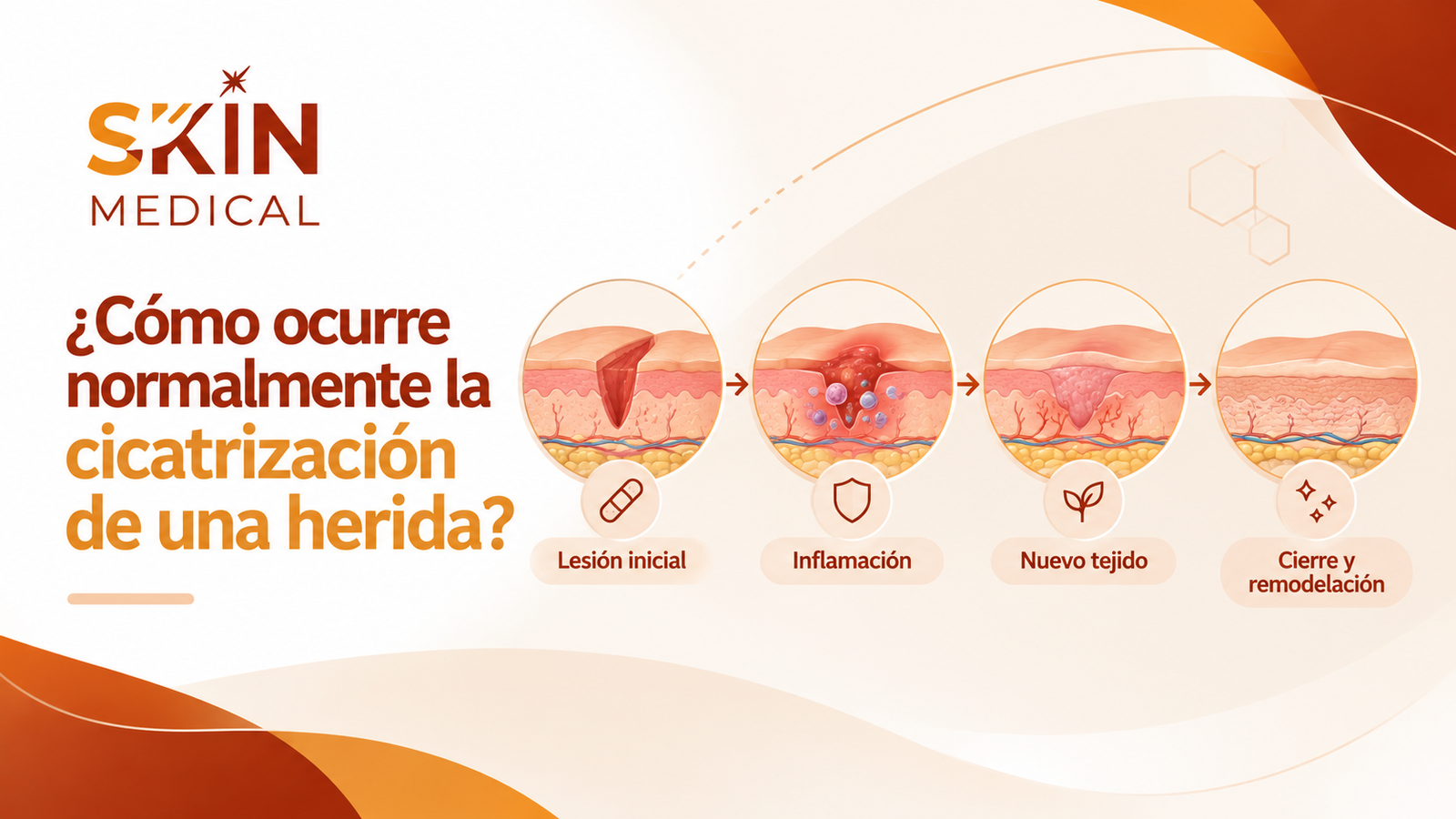 ¿Cómo ocurre normalmente la cicatrización de una herida?
