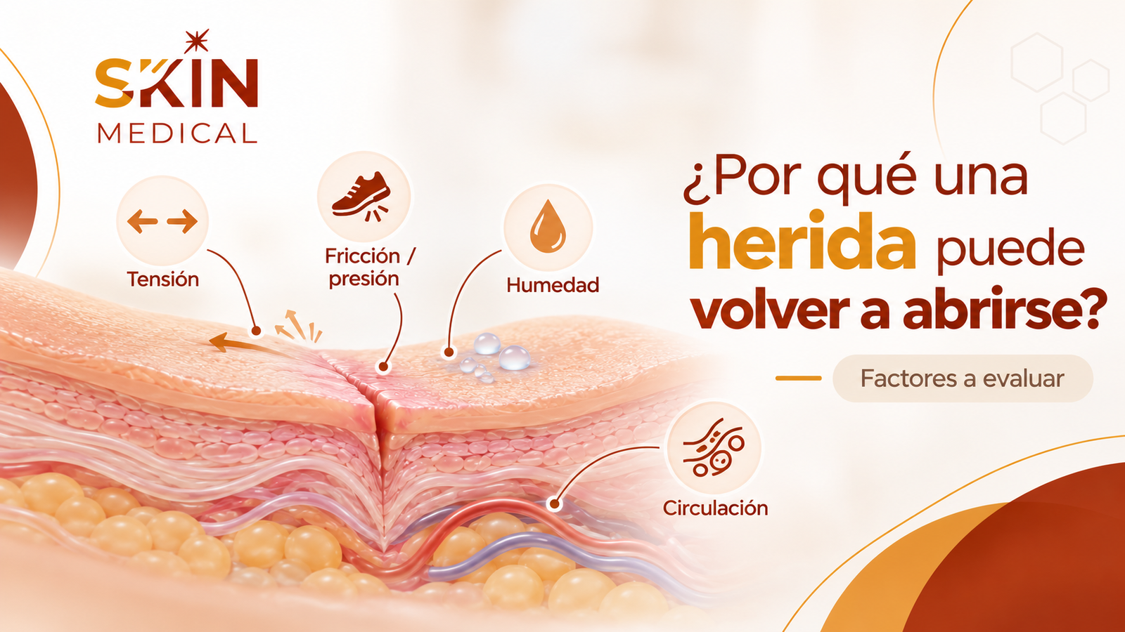 ¿Por qué una herida puede volver a abrirse?